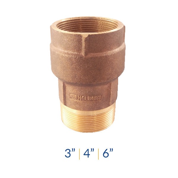 VALVULA CHEQUE POZO PROFUNDO 6&quot; NPT H-M HFVP150